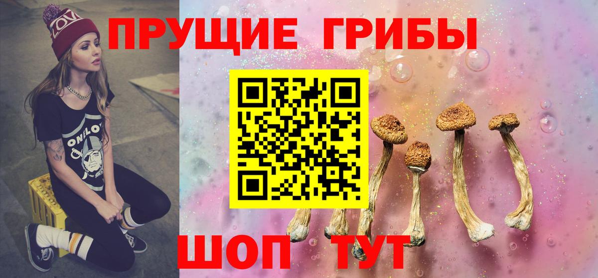 Псилоцибиновые грибы Cubensis Богородицк